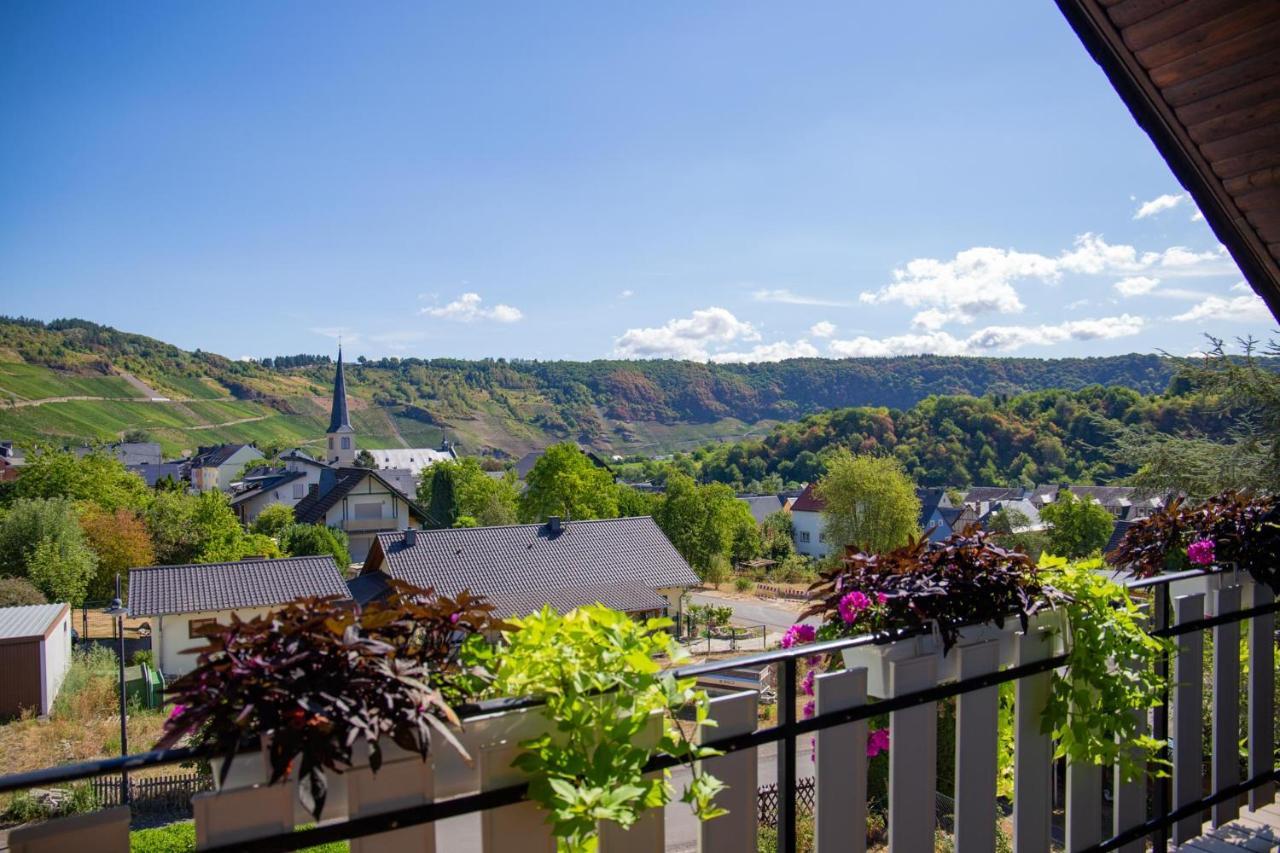 Ferienweingut Juergen Beth Apartment Krov Exterior photo